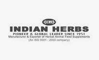 indian herbs