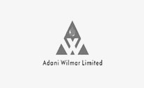 adani wilmar limited